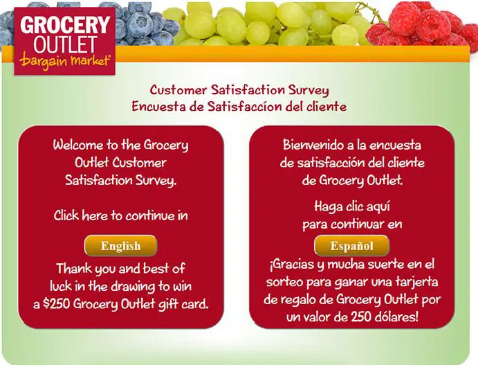 www.Survey.groceryoutlet.com