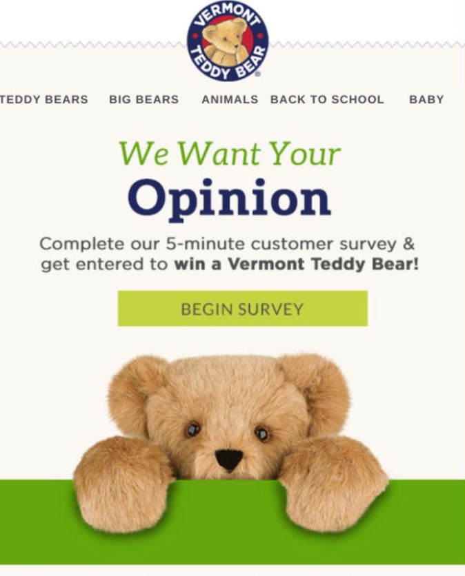 Teddy Bear Survey