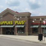Tellpetsuppliesplus.com ❤ Pet Supplies Plus Survey to Win $100