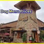 Lazy Dog Menu Prices 2022 [Updated]