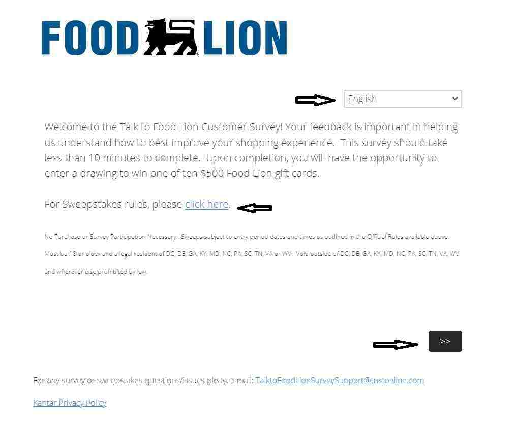 Food Lion Survey