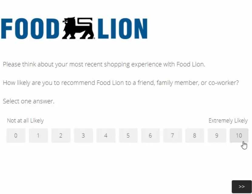 Food Lion store Survey