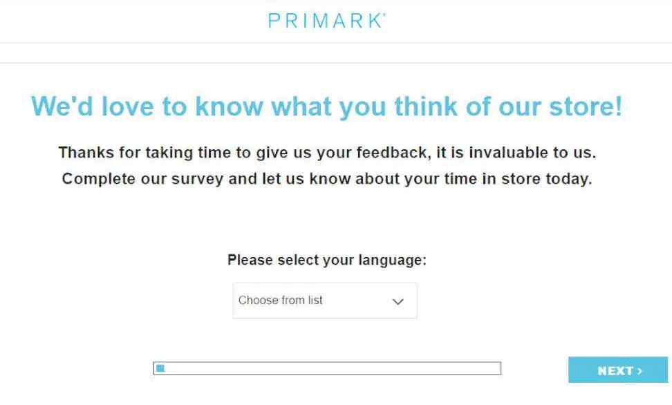 Primark Survey