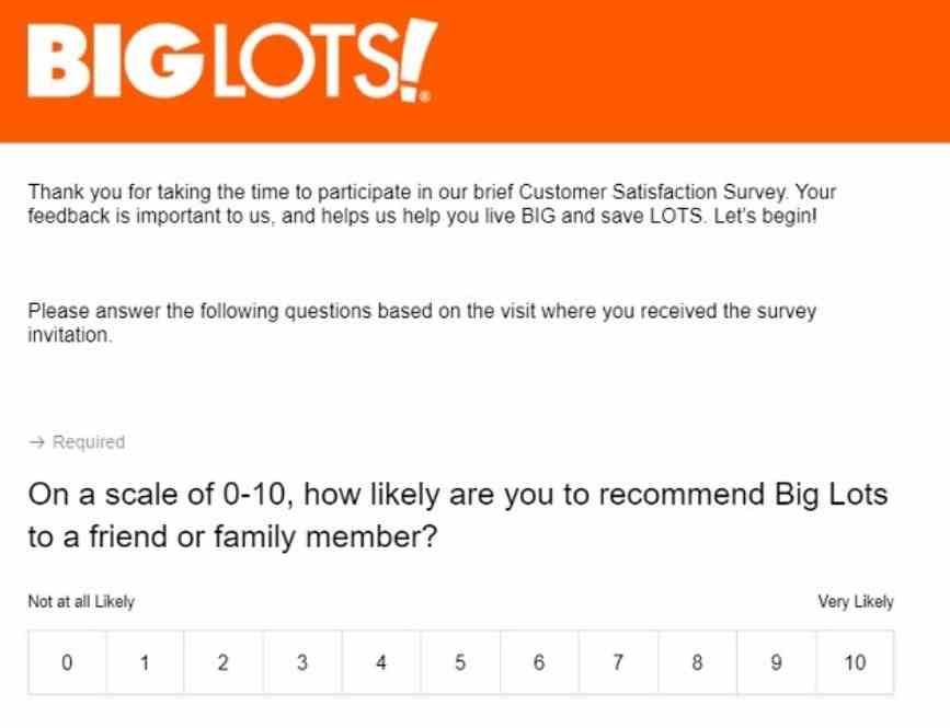 big lots survey question