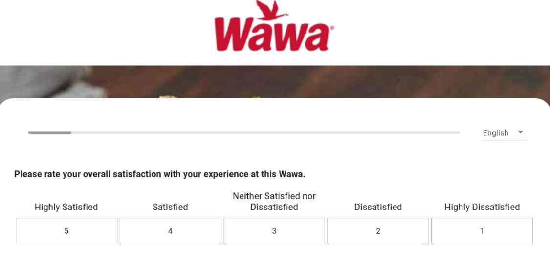 my wawa visit.com survey