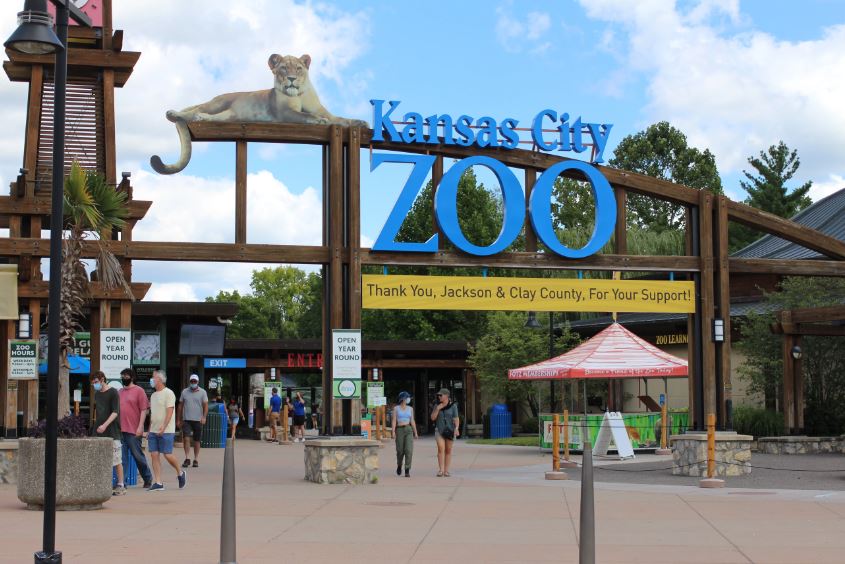zoo