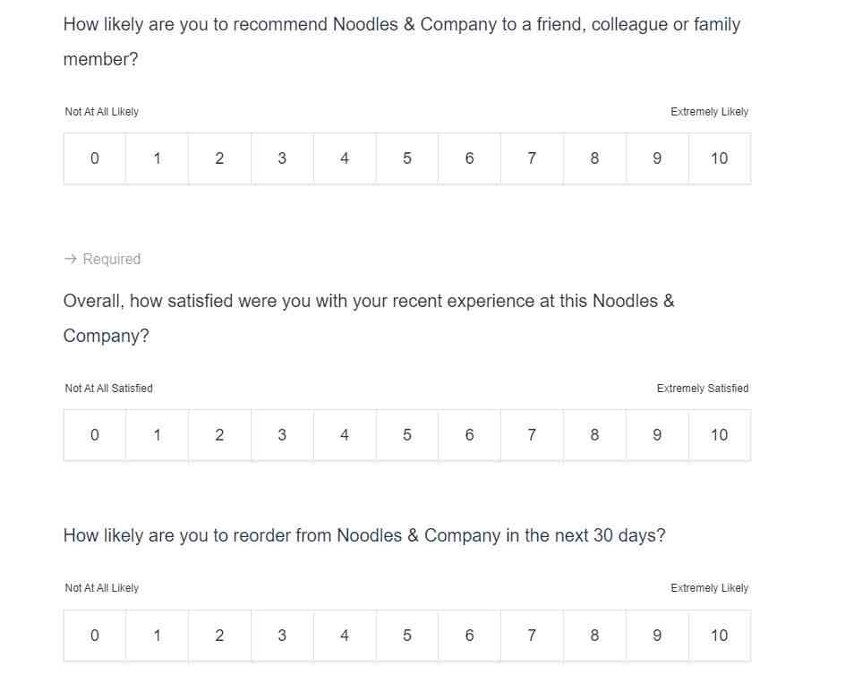 feedback noodles survey