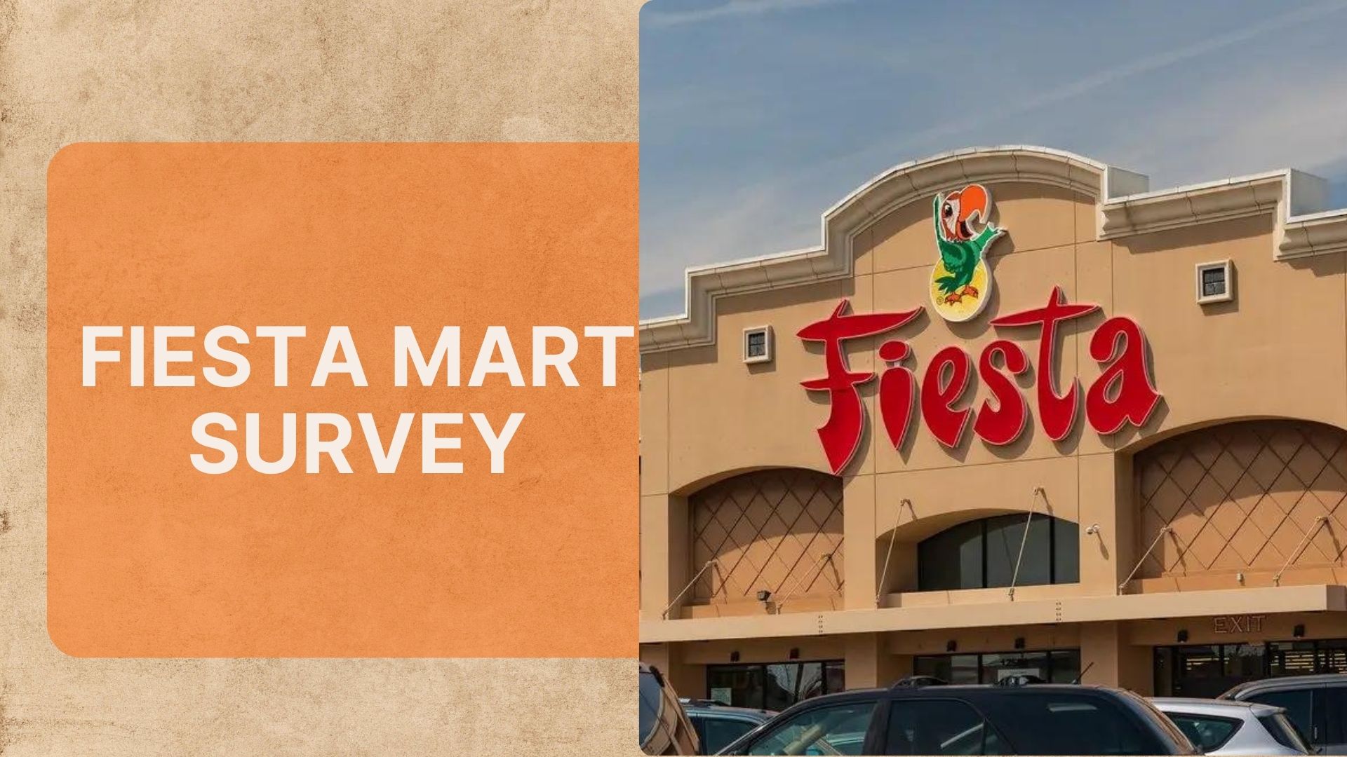 Fiesta Mart Survey