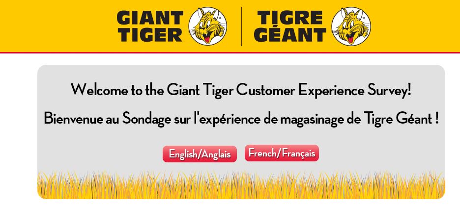 The Giant Tiger Survey at gianttiger.com survey