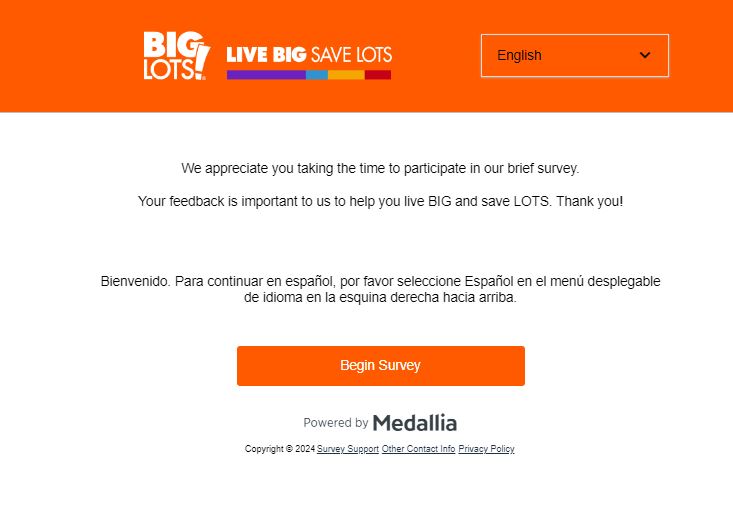 Big Lots customer survey