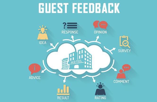 MacEwen Guest Feedback Survey